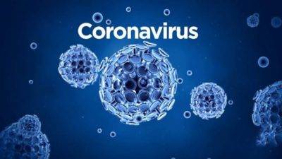 Corona Virus