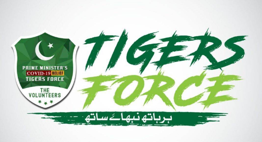 Tiger force