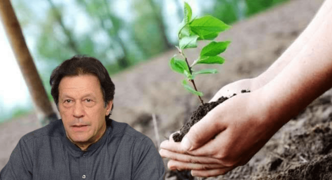 moonsoon plantain drive in pakistan