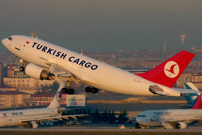 Turkish Airline offered to export the mango and vegetables