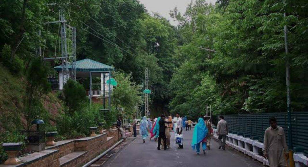 Muree