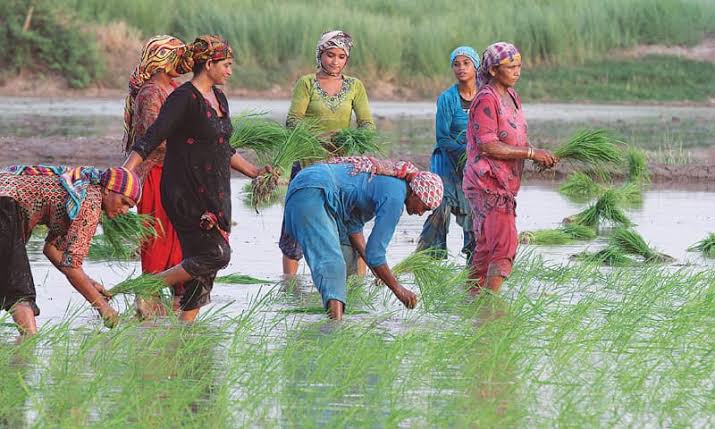 Kamyab Kisaan program