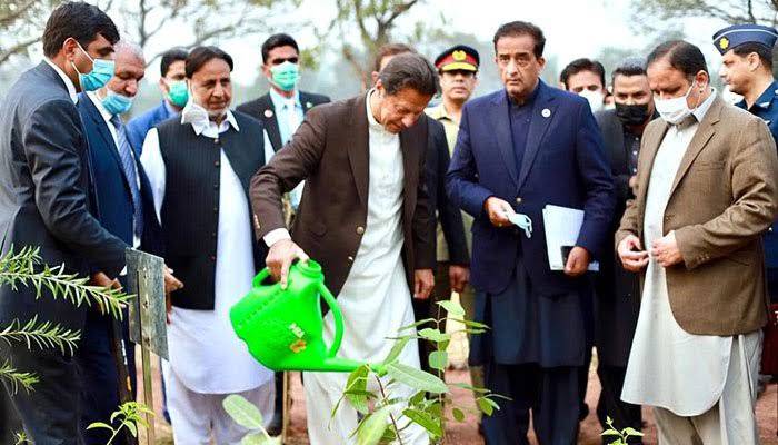 Urban forestry, Akira Miyawaki, imran khan,