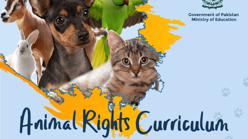 animal rights in Pakistan