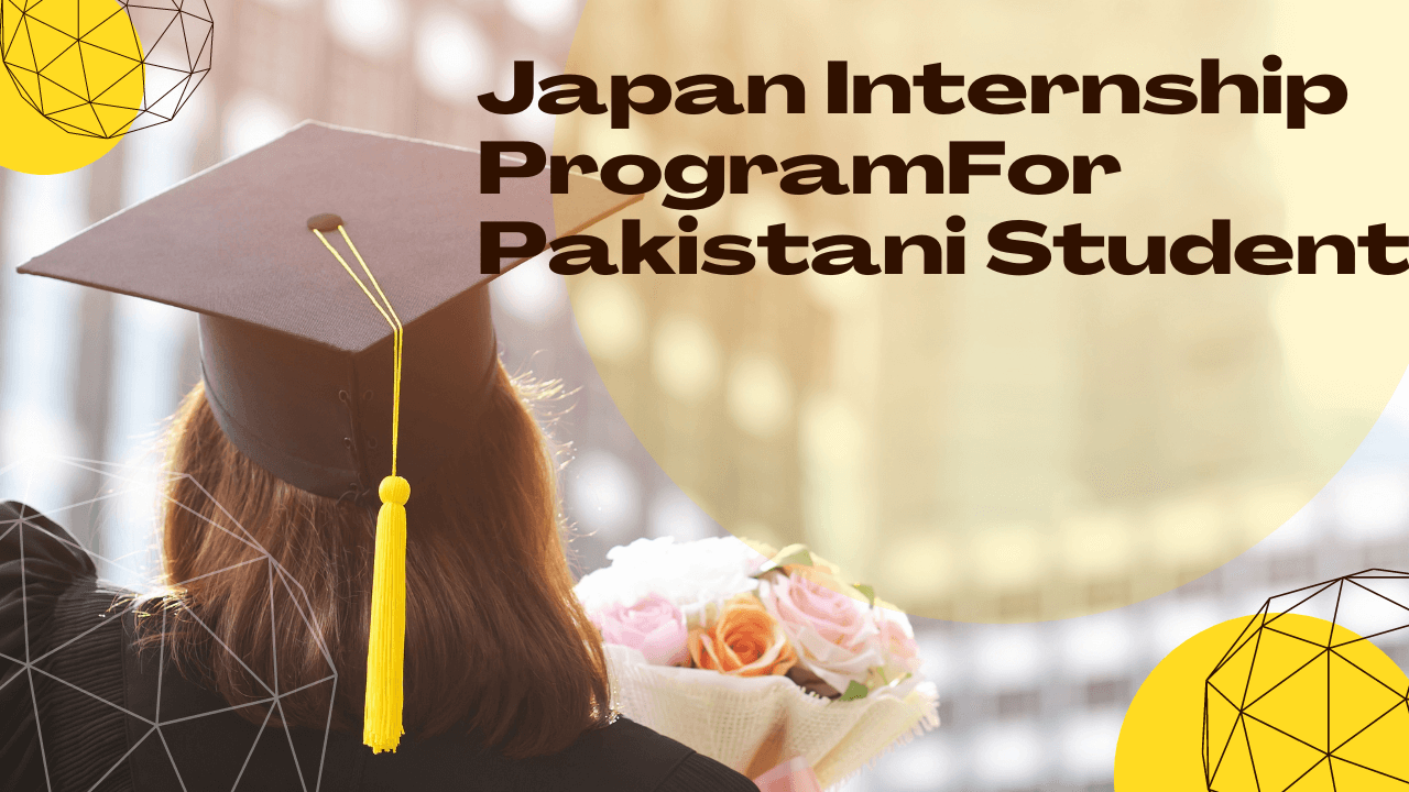 Japan Internship Program